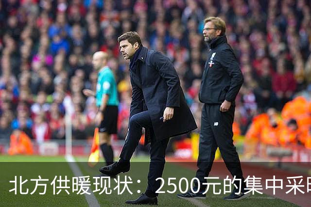 北方供暖现状：2500元的集中采暖费与900元的电费之战